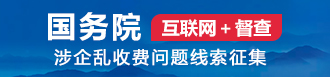 国务院互联网+督察